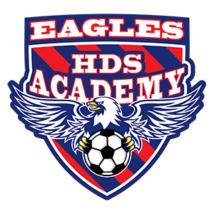 HDS Eagles Soccer Academy